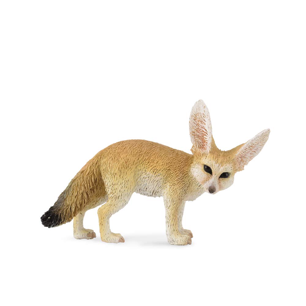Collcta フェネック rdzdsi3 Collecta Fennec Fox | Desertcart Cyprus